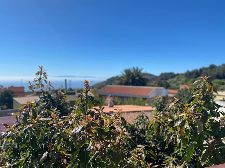 Cozy Apartament La Esperanza  外观 照片